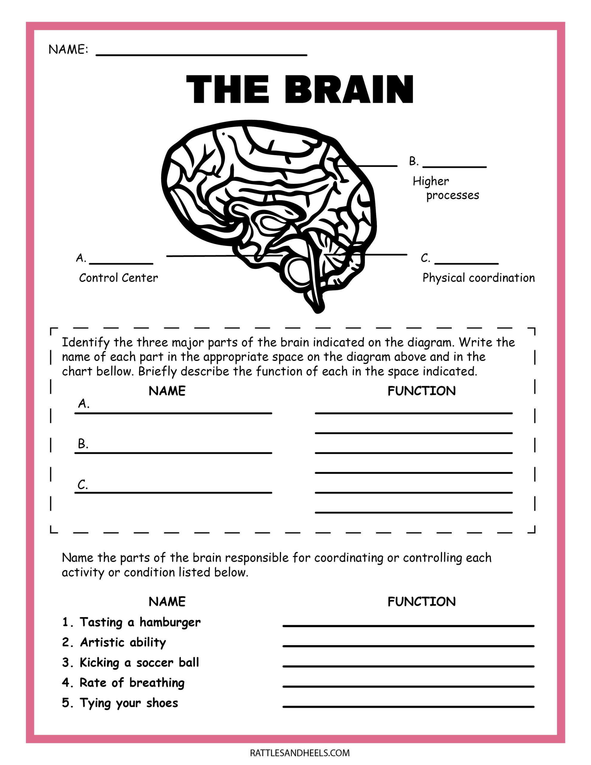 Science Worksheets K5 Learning Worksheets Library