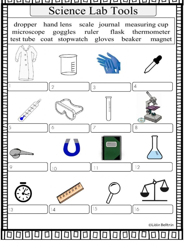Scientific Tools Online Worksheet Live Worksheets Worksheets Library