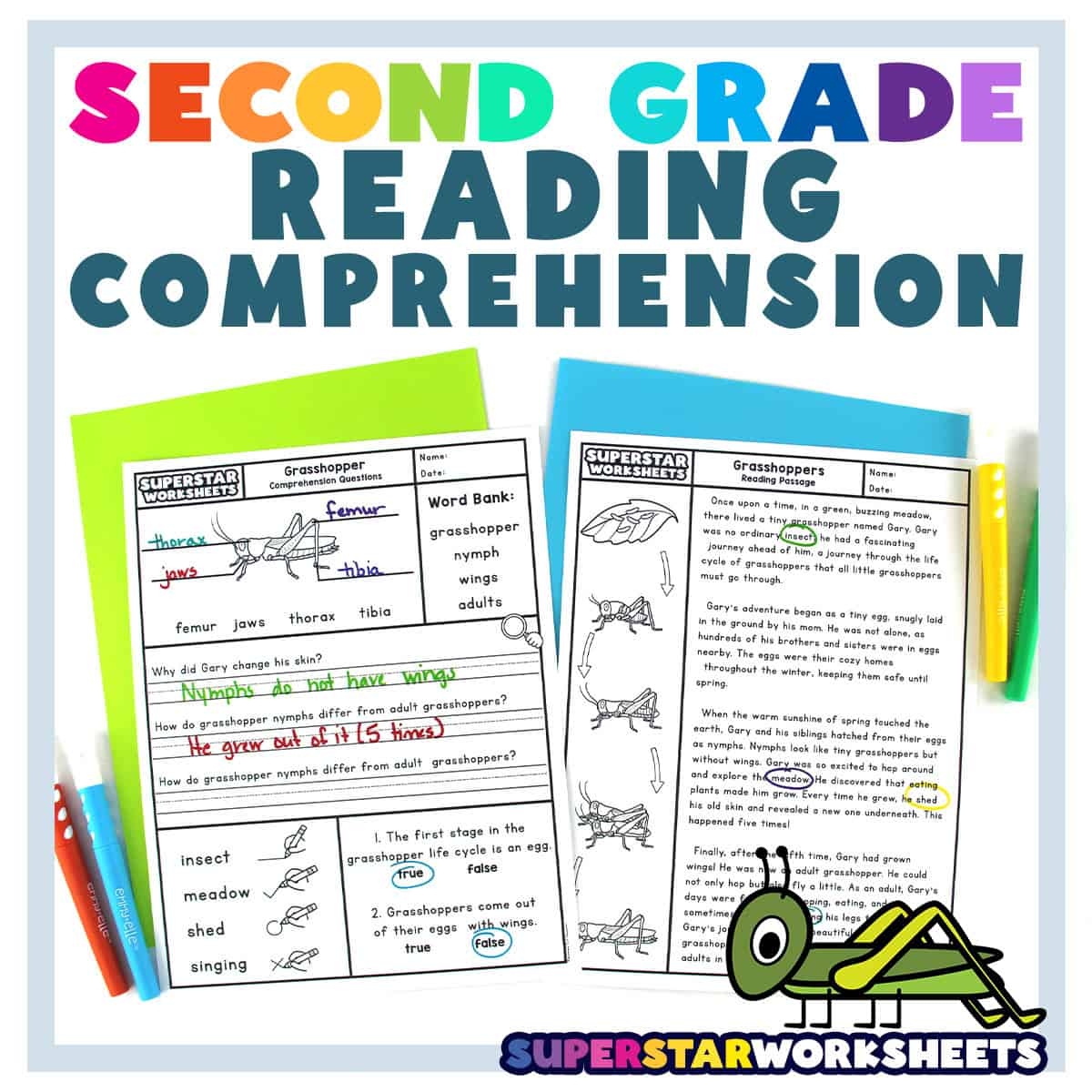 2nd Grade Fall Reading Comprehension Worksheets