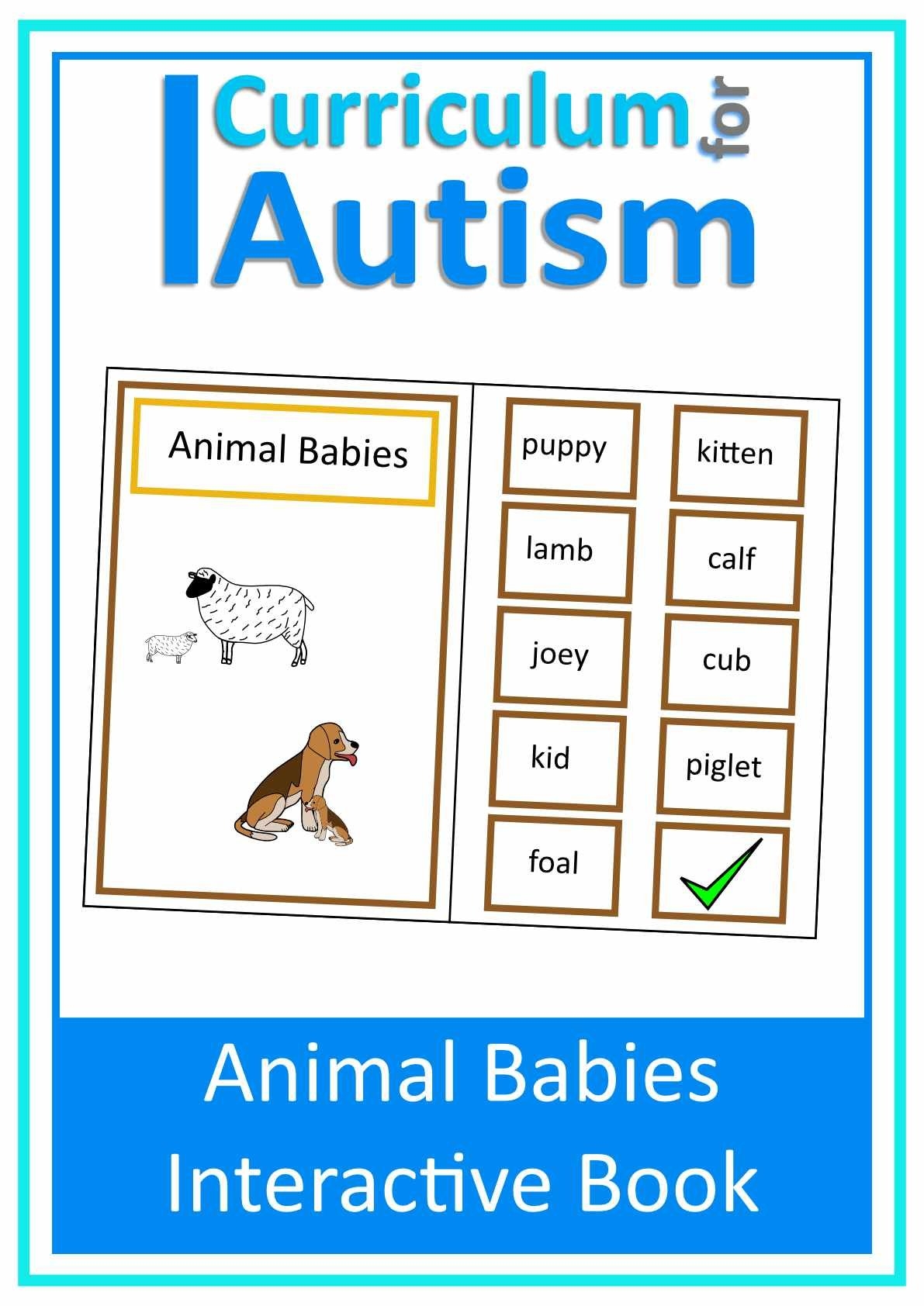 Sensory Activities Reading Comprehension Printable Interactive 