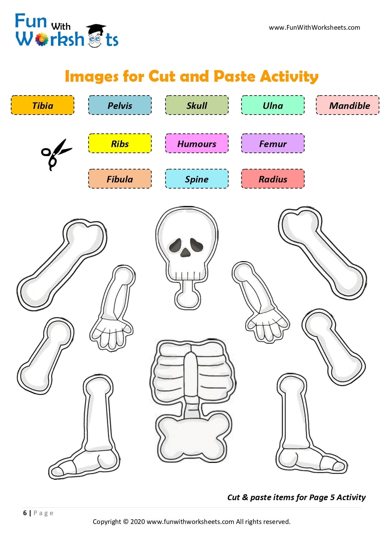 Skeleton Anatomy Activity Printable Human Bones Lesson Moving Skeleton Craft Anatomy Game Homeschool Printable Human Science Study Etsy Canada
