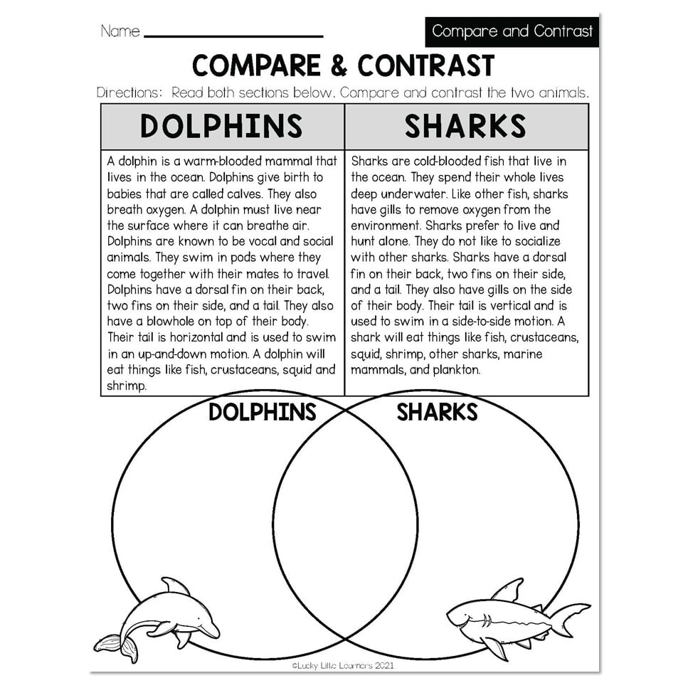 Summer Early Finishers 2nd Grade ELA Compare U0026 Contrast Compare U0026 Contrast Lucky Little Learners
