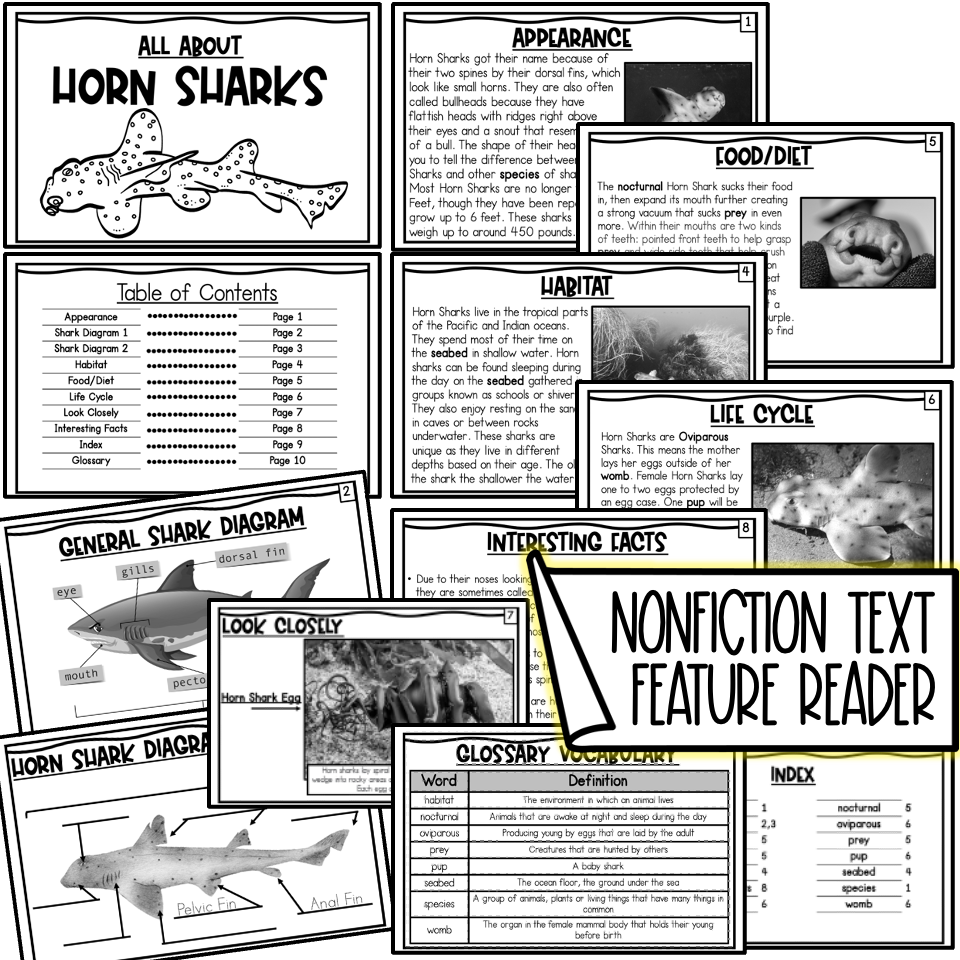 Teaching Nonfiction Text Features With Sharks
