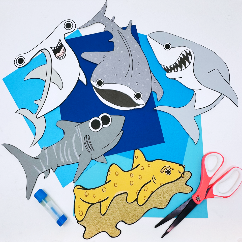 Teaching Nonfiction Text Features With Sharks