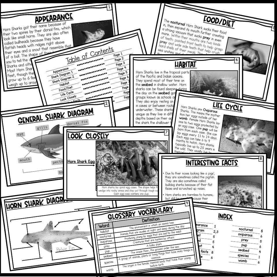 Teaching Nonfiction Text Features With Sharks