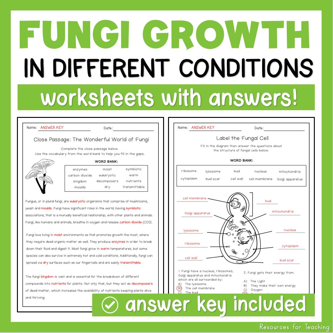 The Growth Of Fungi In Different Conditions Resources For Teaching Australia