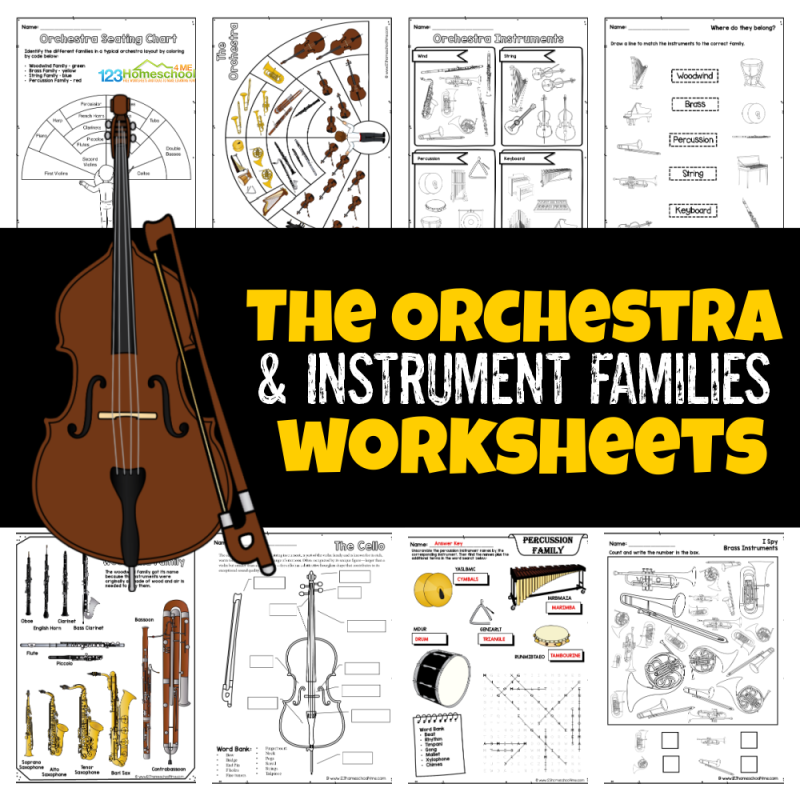 The Orchestra And Instrument Families Worksheets
