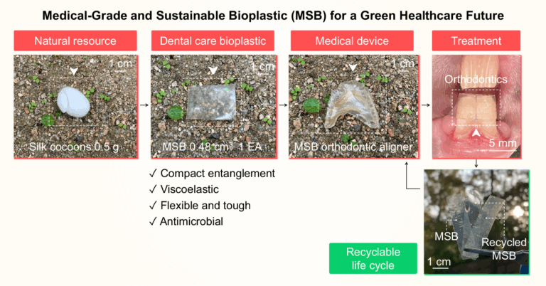 Viscoelastic And Antimicrobial Dental Care Bioplastic With Recyclable Life Cycle Nature Communications